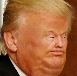 Meet your Posher, Johnathan